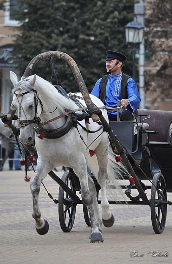 КСК «Лаир» на Театральной площади в Калуге