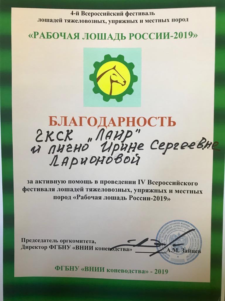 Рабочая лошадь России-2019